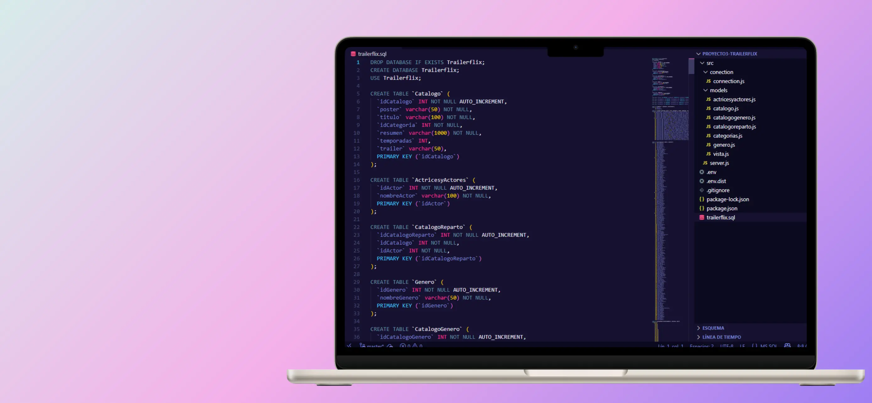 Gestión multimedia de la API Trailerflix